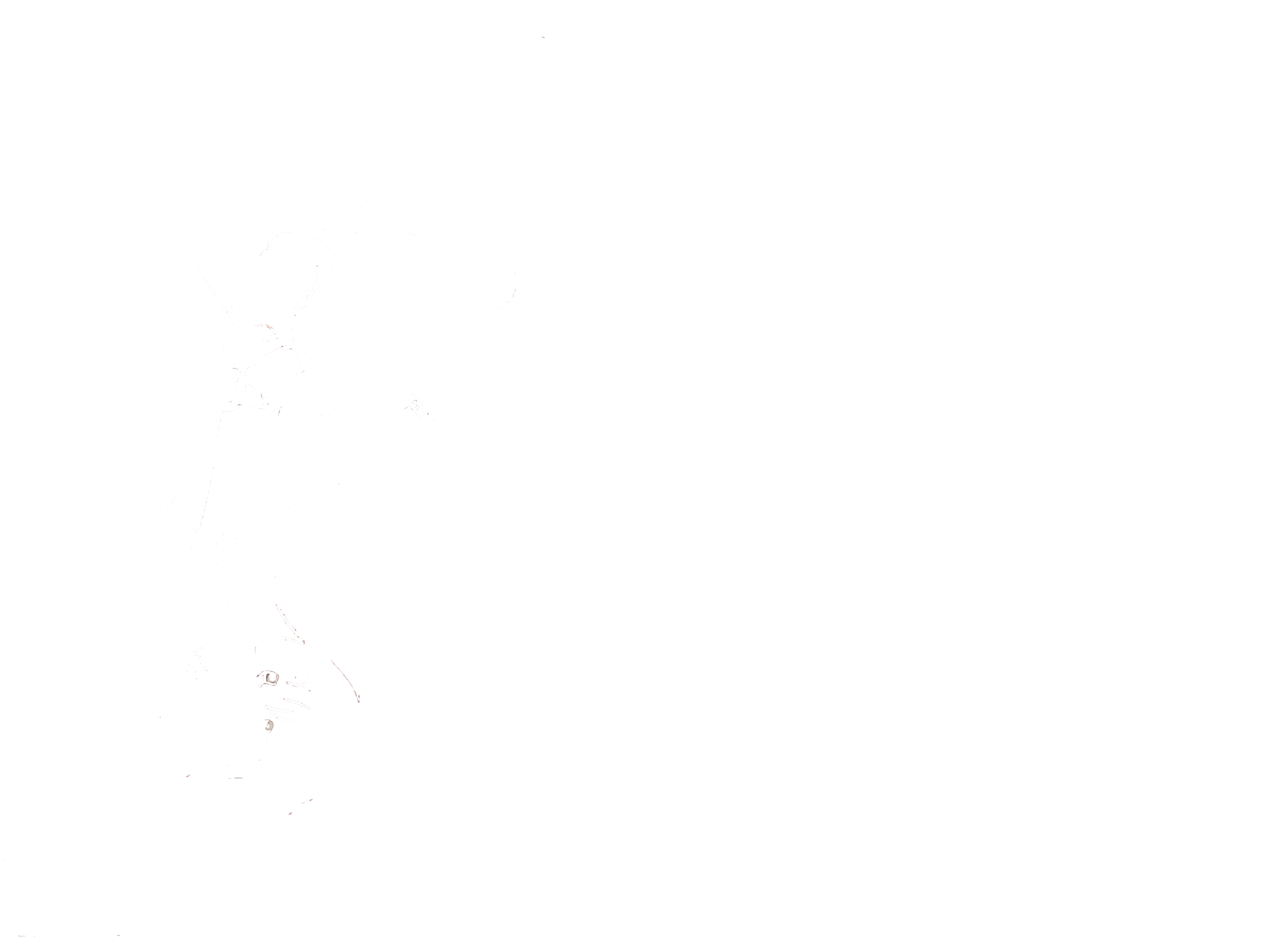 Logo CBC Casteix Bois Charpente et numéro de téléphone 